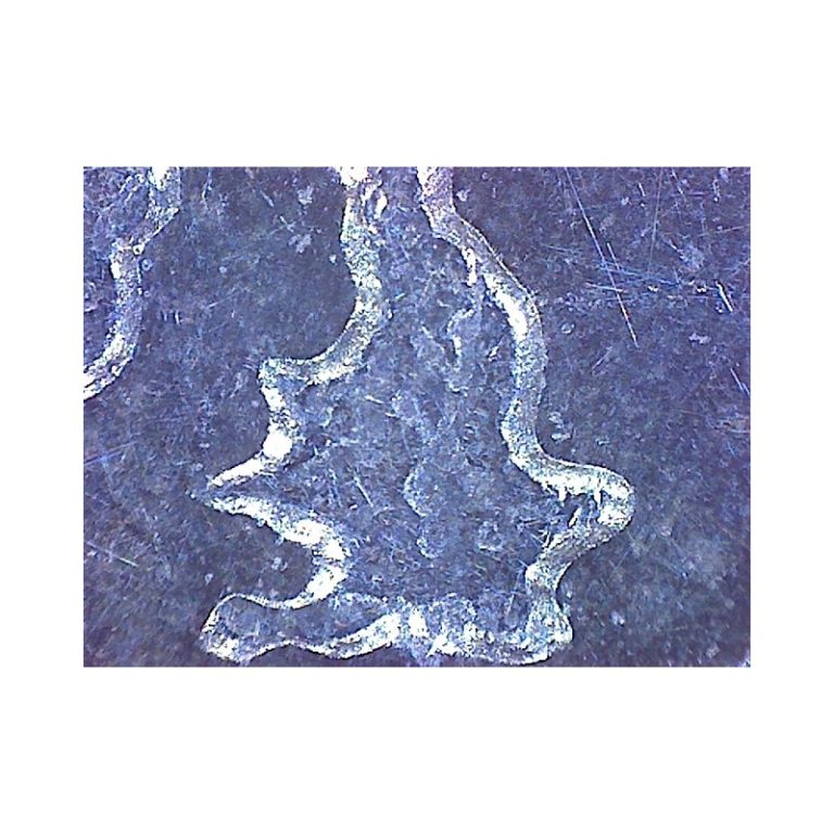 Omegon Μικροσκόπιο Χειρός DigitalView USB