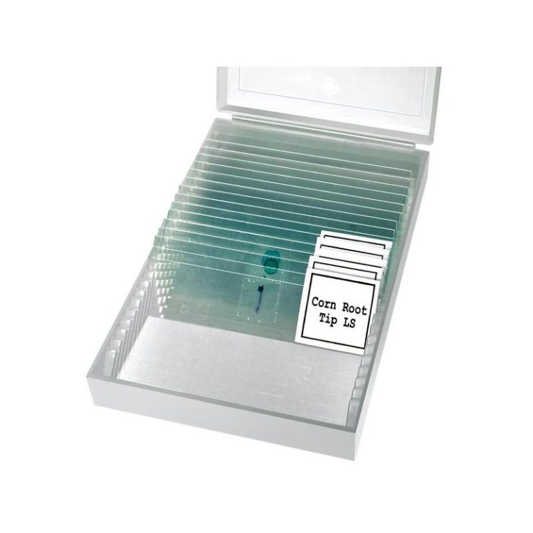Bresser Μικροσκόπιο Biolux NV, 20x-1280x