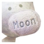 Celestial Buddies Ουράνια Φιλαράκια (Η Σελήνη)