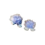 Celestial Buddies Ουράνια Φιλαράκια (Συνοδοί πολικού αστέρα, Πολικός Ab και Β)