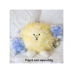 Celestial Buddies Ουράνια Φιλαράκια (Συνοδοί πολικού αστέρα, Πολικός Ab και Β)