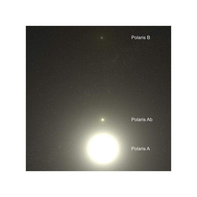 Celestial Buddies Ουράνια Φιλαράκια (Συνοδοί πολικού αστέρα, Πολικός Ab και Β)