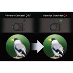 Κιάλια Vixen 16x50 Atera II ED WP με Σταθεροποιητή Εικόνας - Image 2