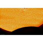 Omegon Διοπτρικό Αποχρωματικό Pro APO AP 80/500 ED Carbon OTA - Image 9
