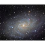Omegon Διοπτρικό Αποχρωματικό Pro APO AP 104/650 ED OTA με Διορθωτή 2’’ - Image 13